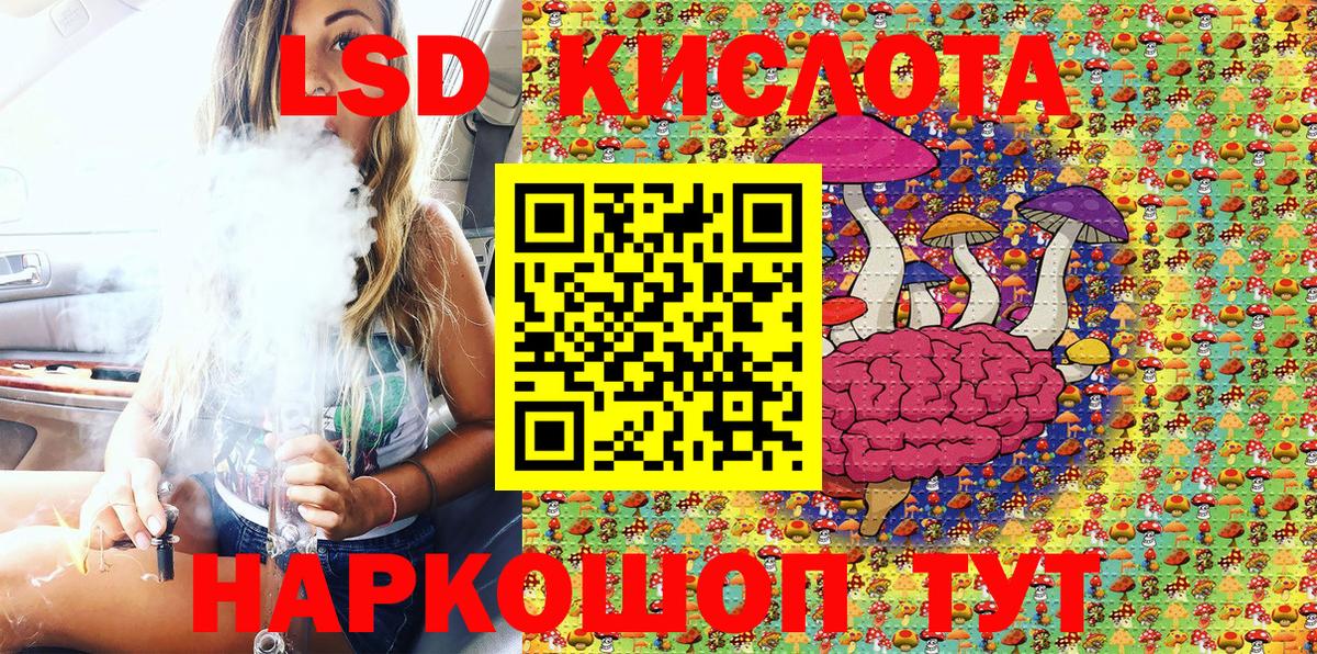 Псилоцибиновые грибы Прохладный
