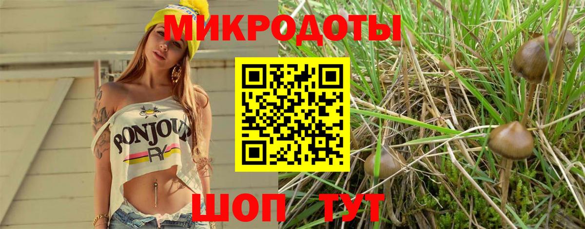Галлюциногенные грибы мухоморы Прохладный