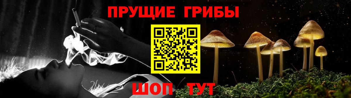Прохладный  Псилоцибиновые грибы Psilocybine cubensis  Галлюциногенные грибы Magic Shrooms  Вход с VPN 