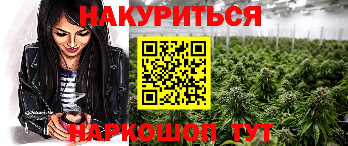 Каннабис индика Прохладный